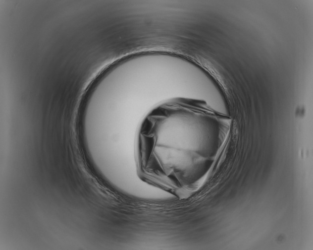 X0000094420676200712061052