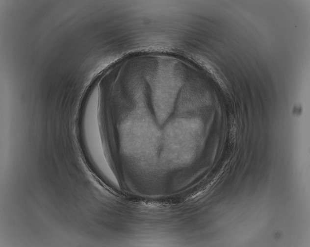 X0000094420677200712061052