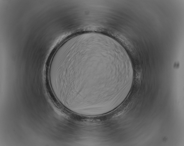 X0000094420678200712061052