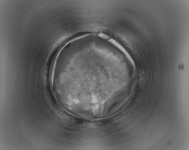 X0000094420679200712061052