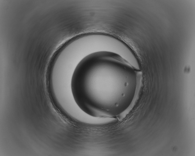 X0000094420680200712061052