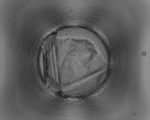 X0000094420681200712061052