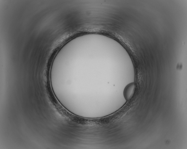 X0000094420682200712061052