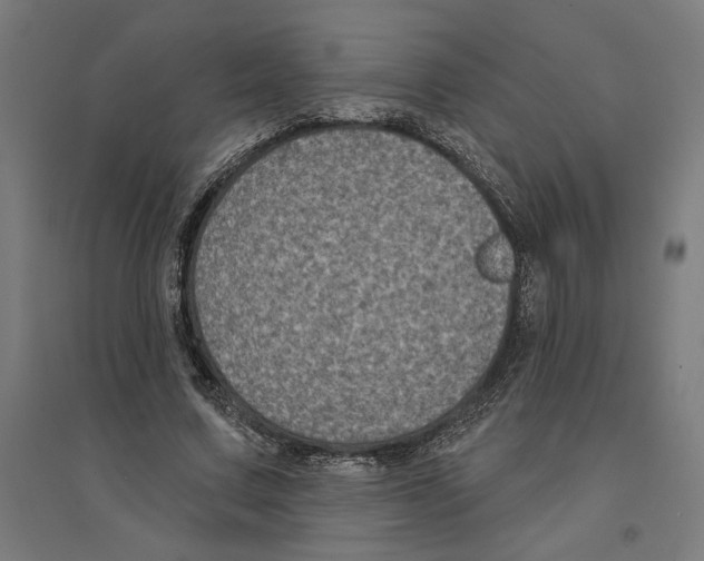 X0000094420683200712061052