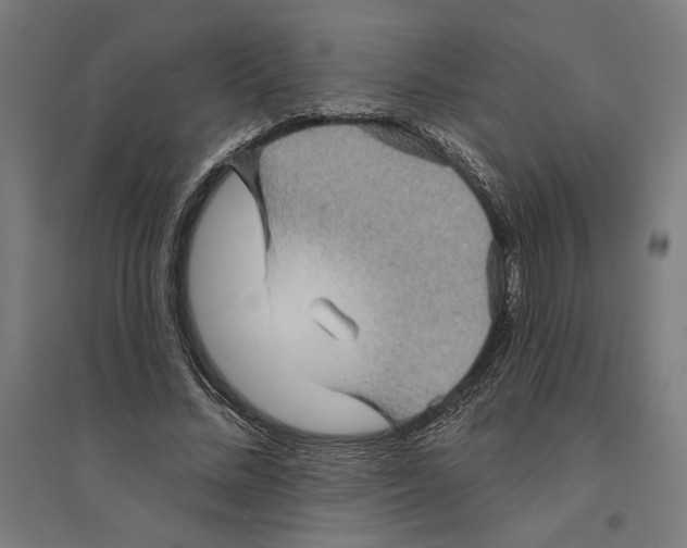 X0000094420684200712061052