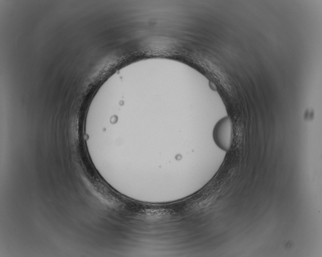 X0000094420686200712061052