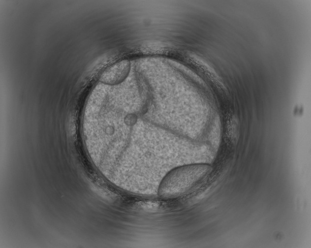 X0000094420687200712061052