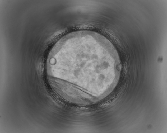 X0000094420691200712061051