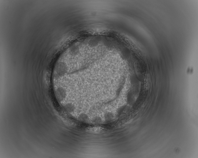 X0000094420695200712061051