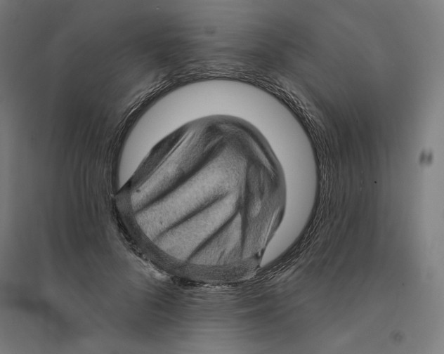 X0000094420696200712061051