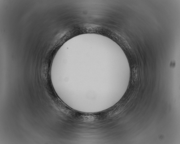 X0000094420698200712061051