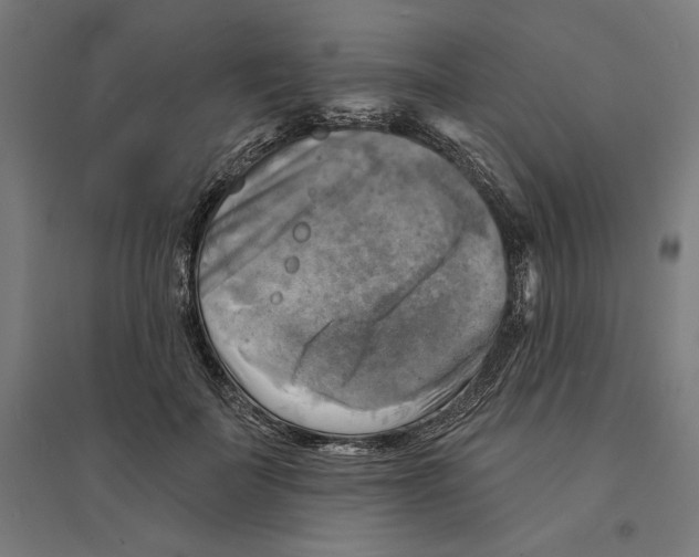 X0000094420699200712061051