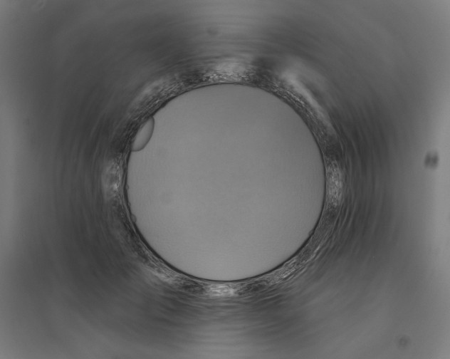 X0000094420701200712061051