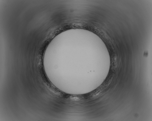 X0000094420706200712061051