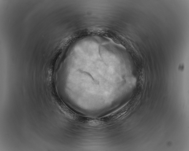 X0000094420708200712061051