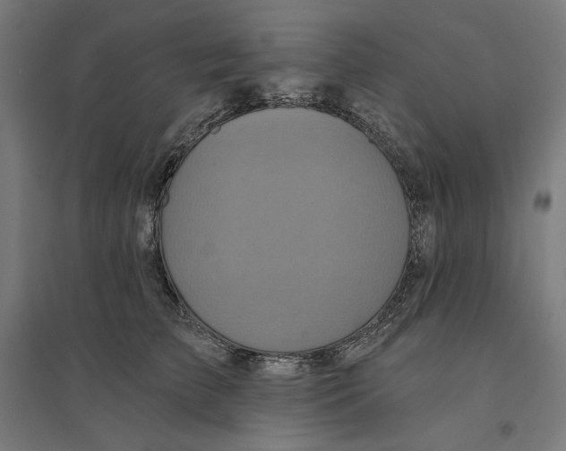 X0000094420709200712061051