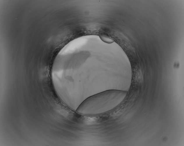 X0000094420711200712061051