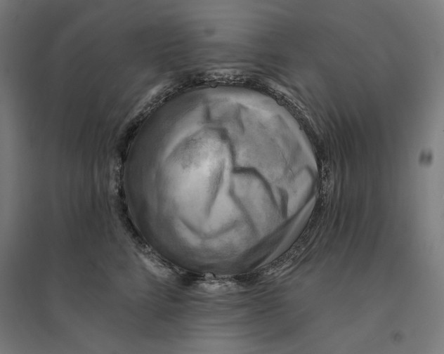 X0000094420712200712061051