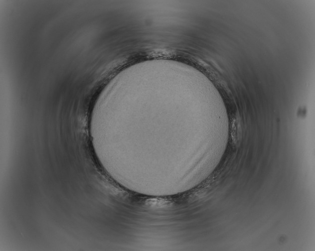 X0000094420714200712061051