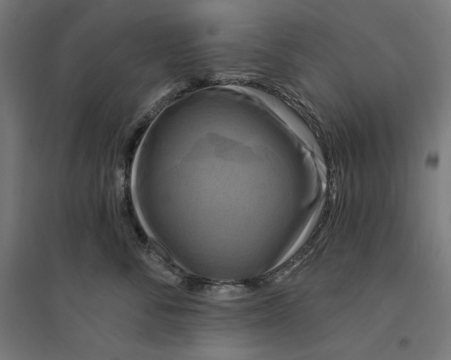 X0000094420716200712061051