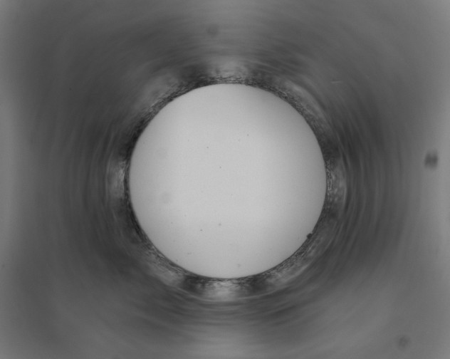 X0000094420717200712061051