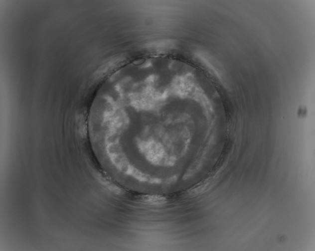 X0000094420719200712061051