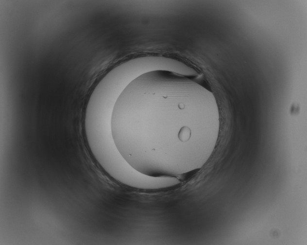 X0000094420720200712061051