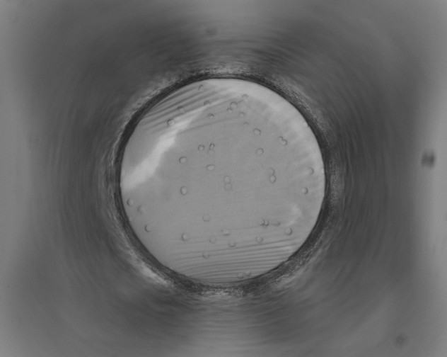 X0000094420721200712061050