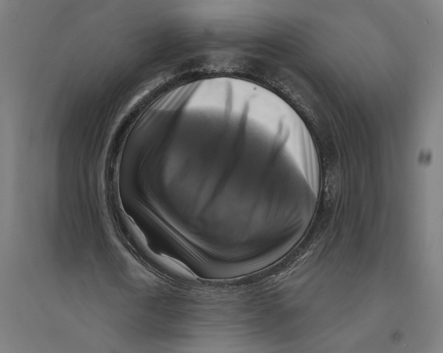 X0000094420722200712061050