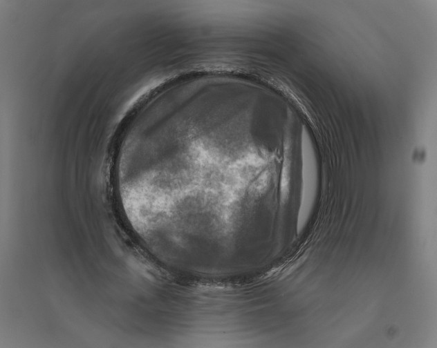 X0000094420723200712061050