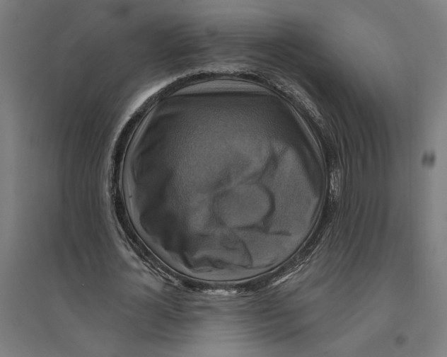 X0000094420724200712061050