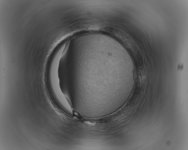 X0000094420728200712061050