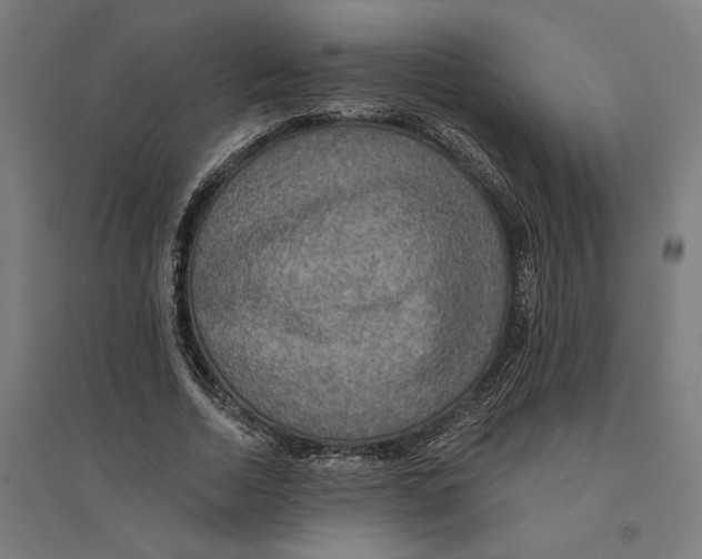 X0000094420730200712061050