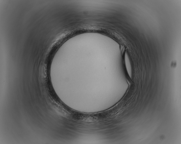 X0000094420731200712061050