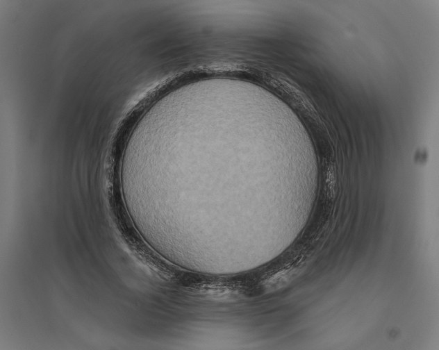 X0000094420732200712061050