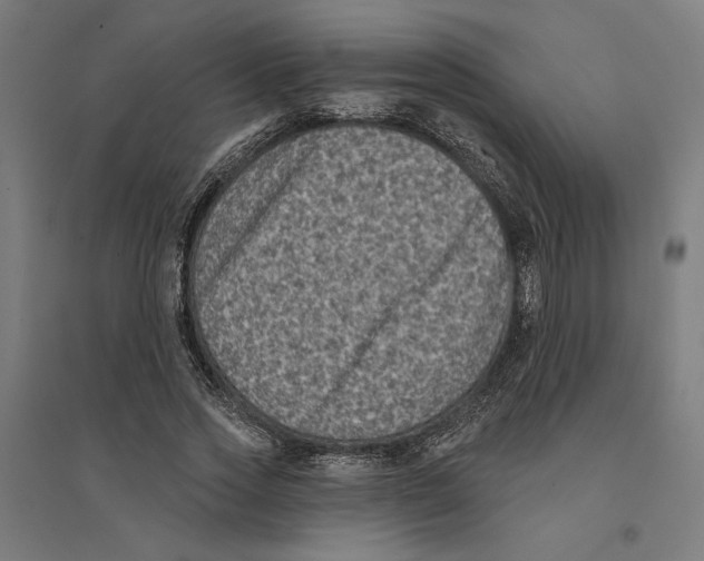 X0000094420733200712061050