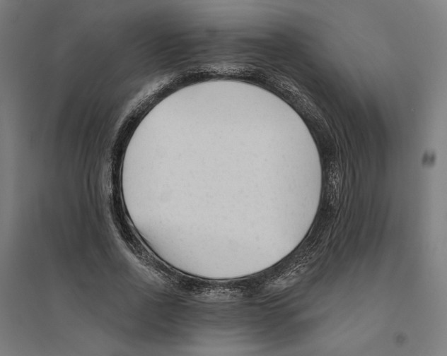 X0000094420734200712061050