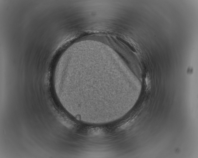 X0000094420735200712061050