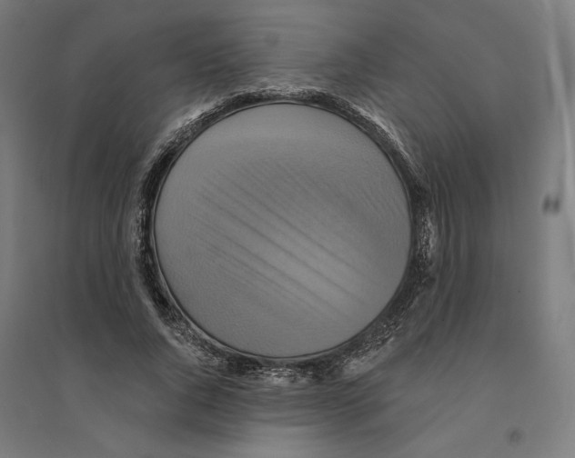 X0000094420736200712061050