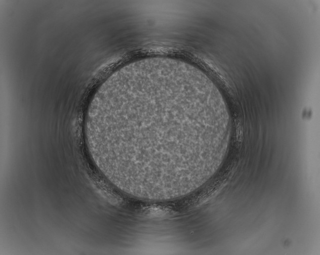 X0000094420737200712061050