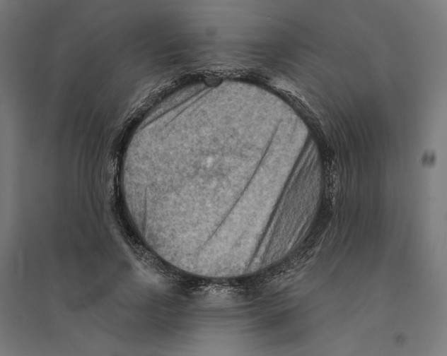 X0000094420742200712061051