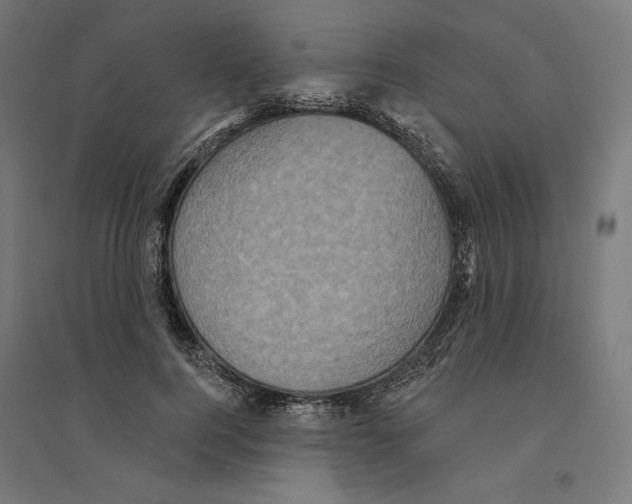 X0000094420744200712061051