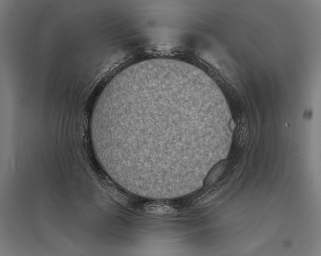 X0000094420747200712061051