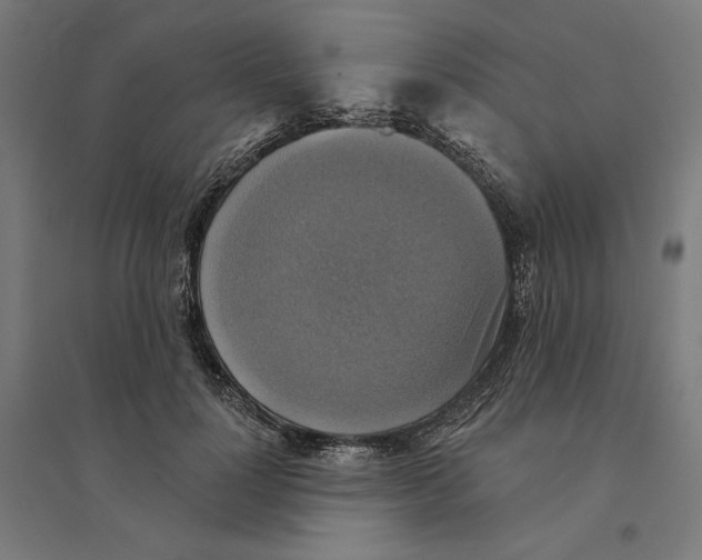 X0000094420748200712061051