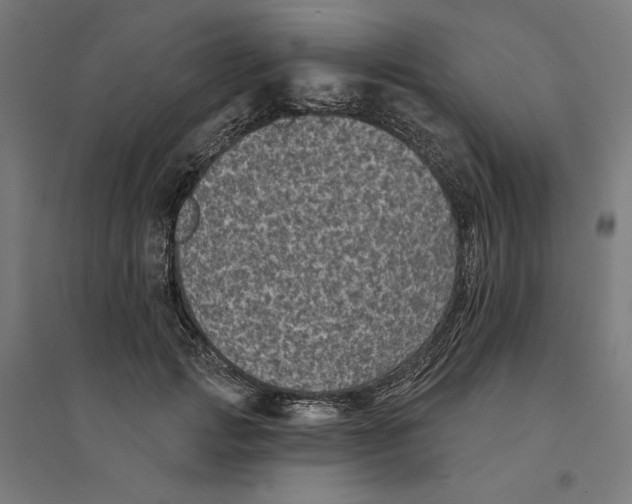 X0000094420749200712061051