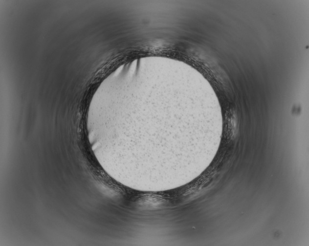 X0000094420750200712061051