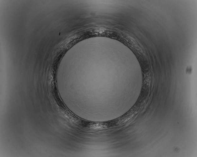 X0000094420754200712061051