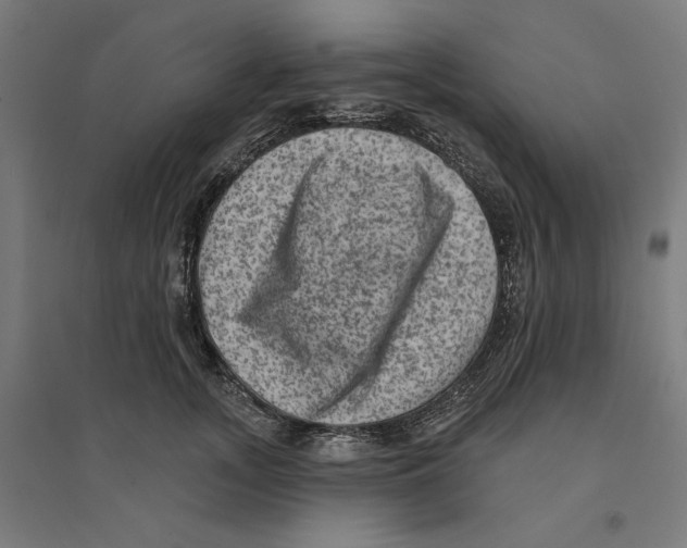 X0000094420755200712061051