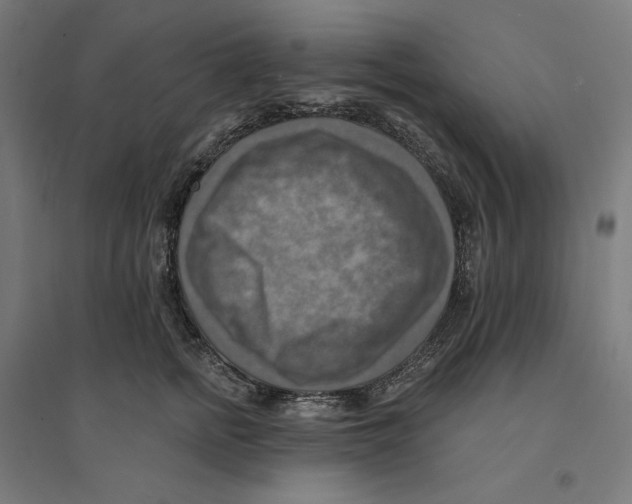 X0000094420758200712061051