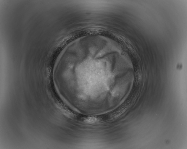 X0000094420759200712061051